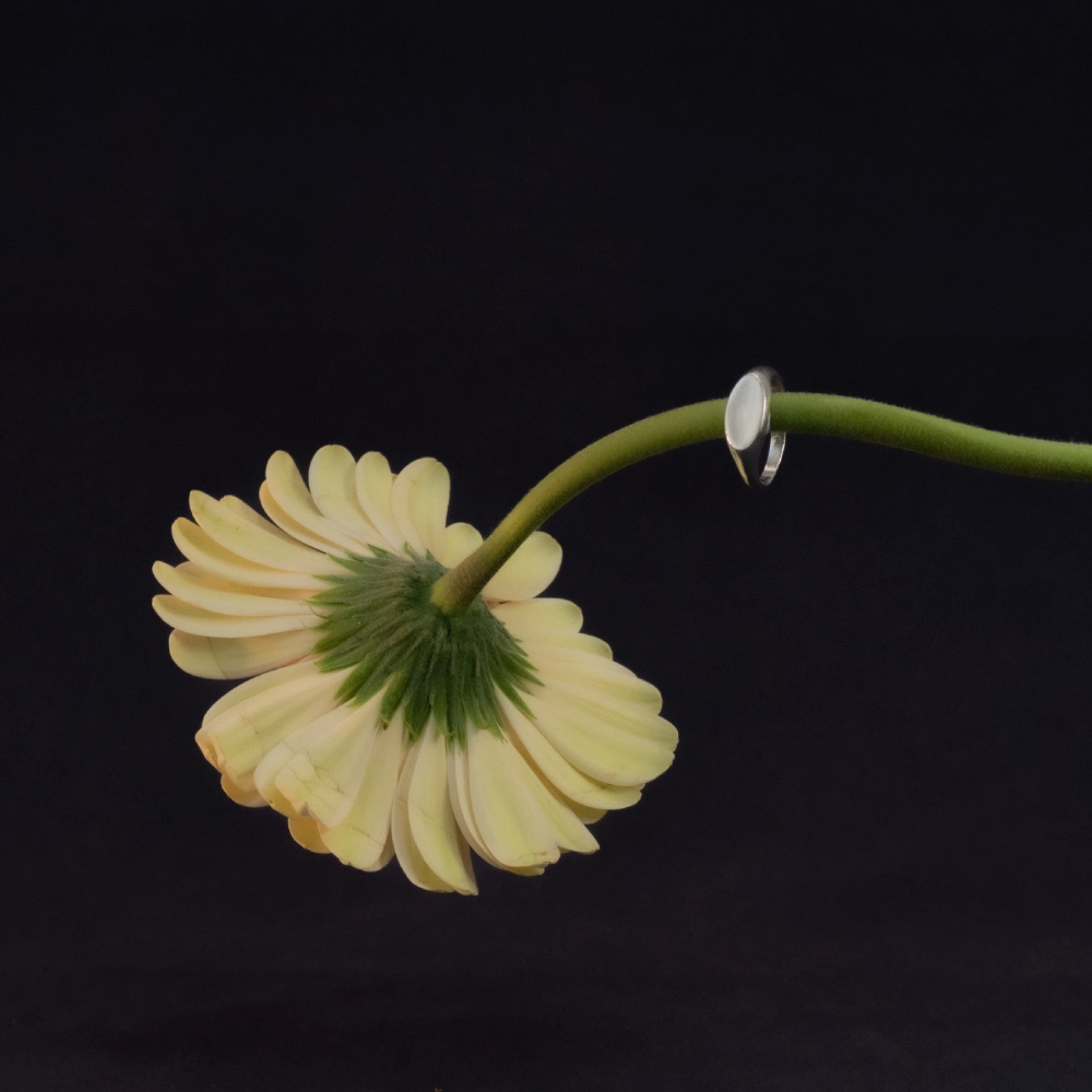 sello minimal horizontal