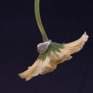 sello orgánico unisex