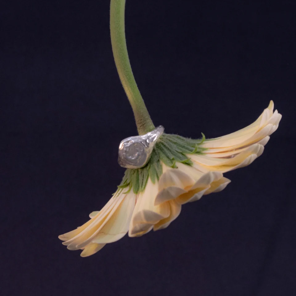 sello orgánico unisex